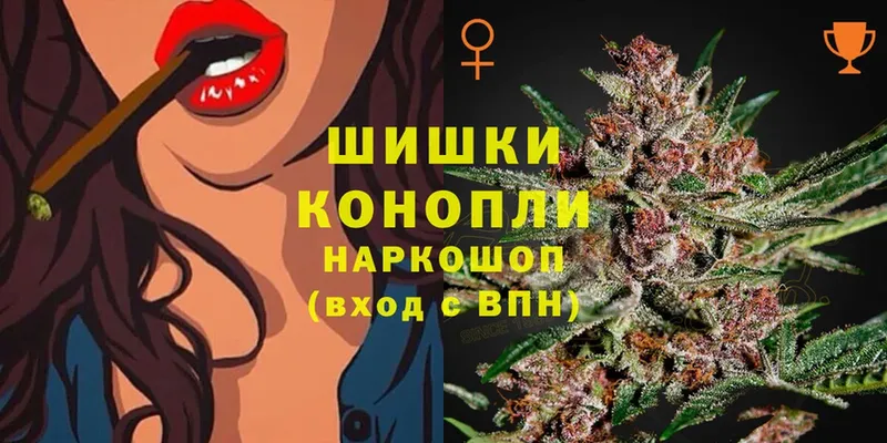 Шишки марихуана OG Kush  Камешково 